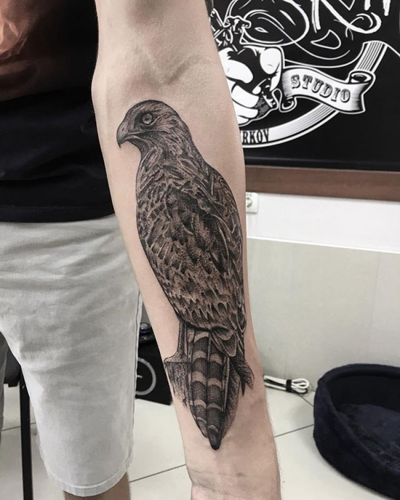 Męski whip shading na przedramieniu, photo - Tatuażysta Barb Tattoo