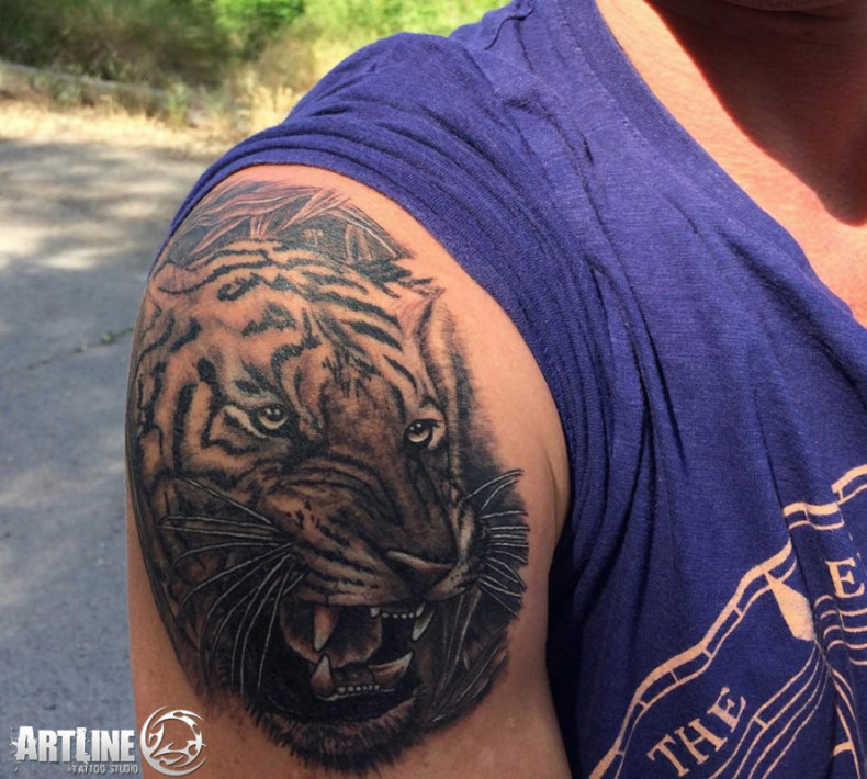 Tiger on shoulder tattoo, photo - Tattoo Master Barb Tattoo