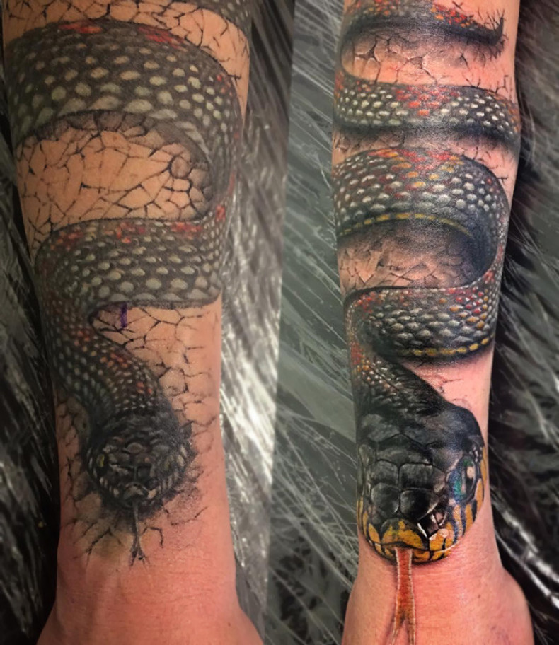 Cover-up tattoo (cover-up tattoo), photo - Tattoo Master Barb Tattoo