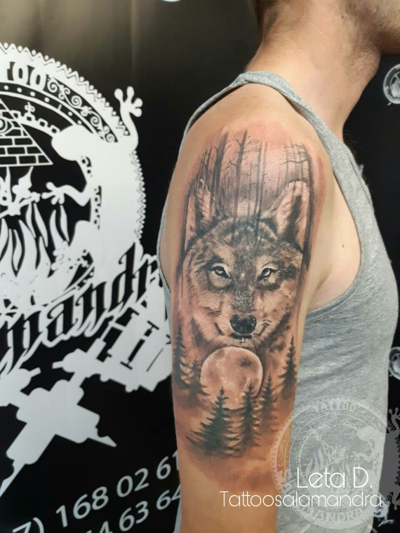 Męski wilk na ramieniu, photo - Tatuażysta Barb Tattoo