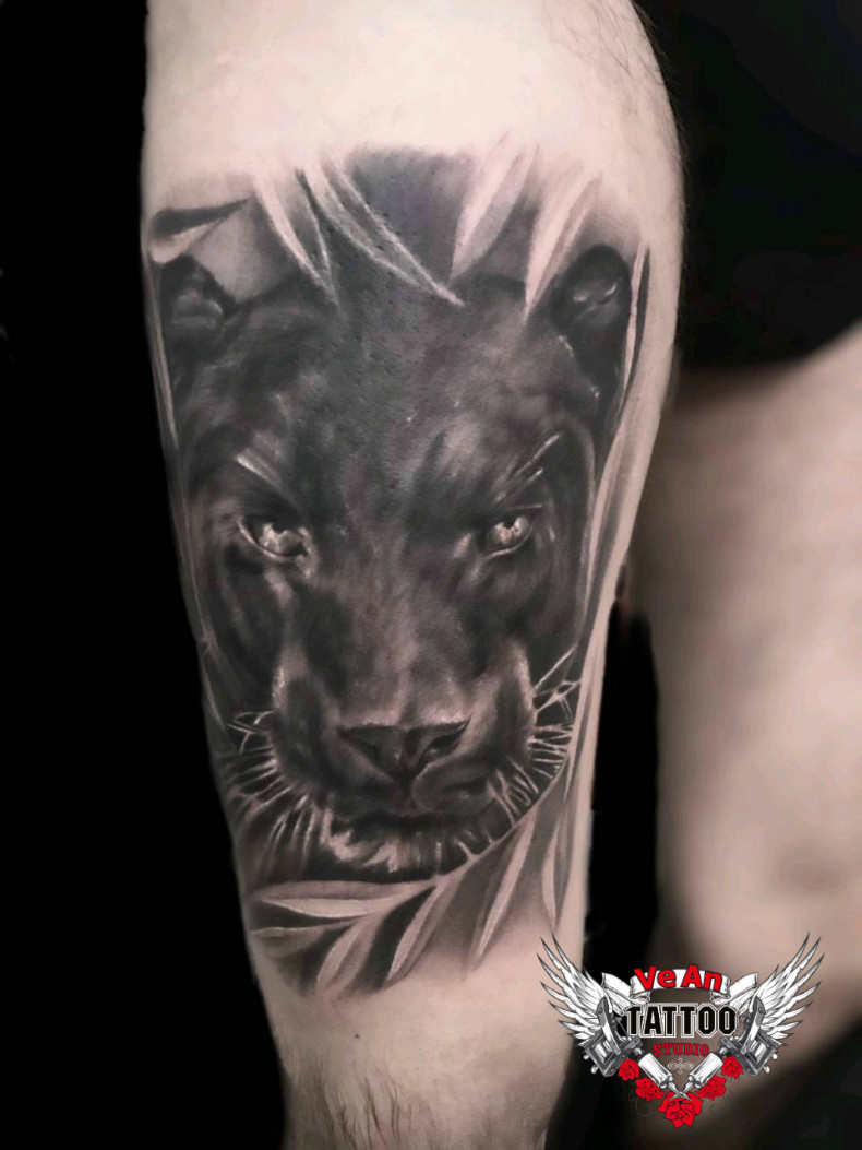 Men thigh panther, photo - Tattoo Master Barb Tattoo