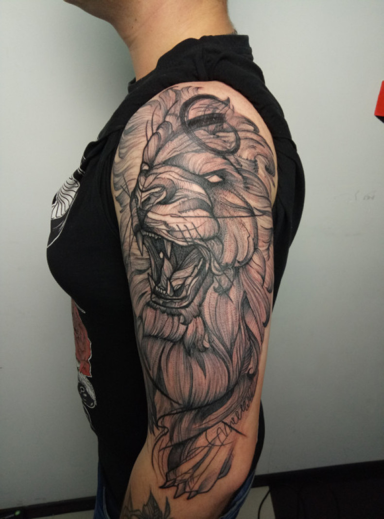 Men arm lion, photo - Tattoo Master Barb Tattoo