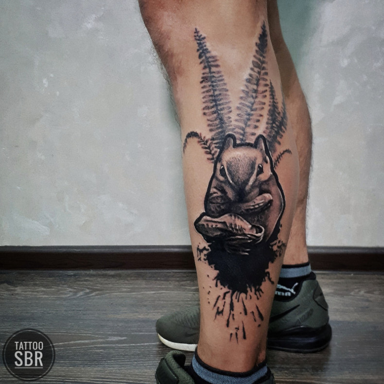 Мужские белка блэкворк, photo - Тату мастер Barb Tattoo