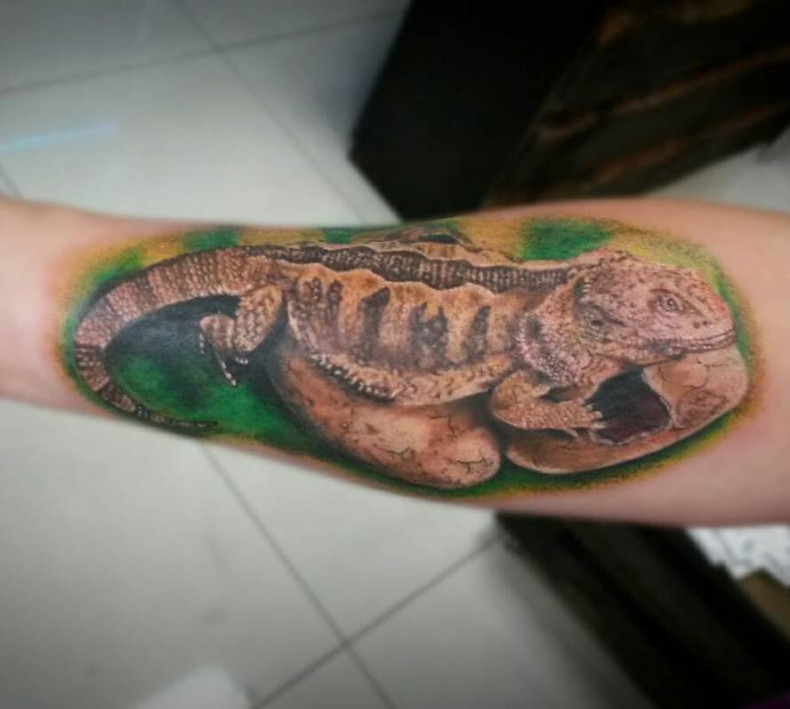 Męski na ramieniu kolorowy, photo - Tatuażysta Barb Tattoo