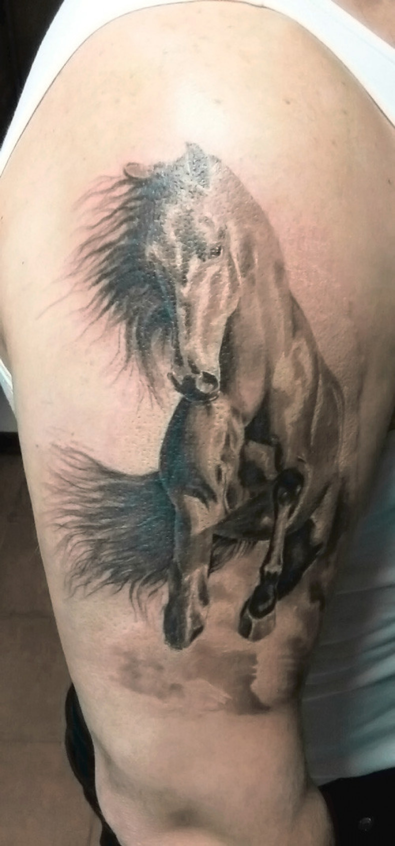 Czarno-biały tatuaż z koniem, photo - Tatuażysta Barb Tattoo