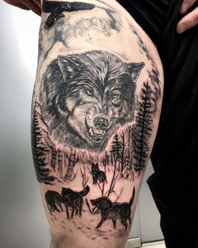 Męski wilk czarny szary, photo - Tatuażysta Barb Tattoo