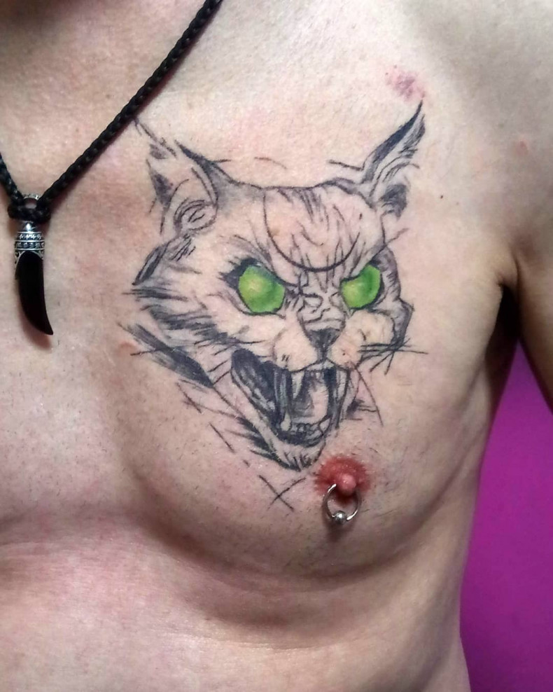 Мужские кошка на груди, photo - Тату мастер Barb Tattoo