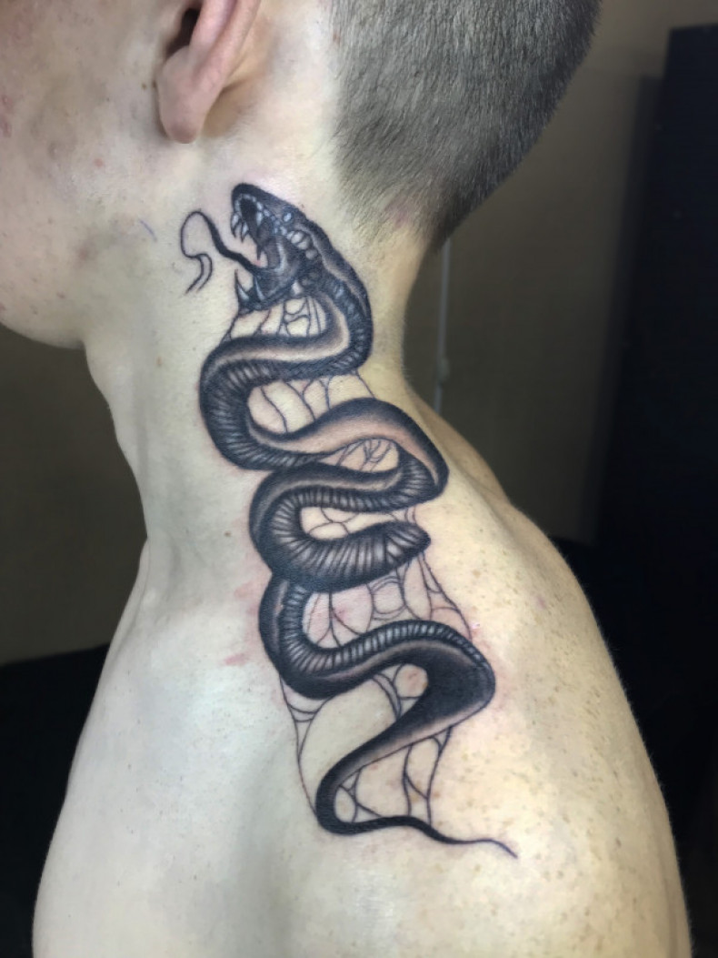 Men snake behind the ear, photo - Tattoo Master Barb Tattoo