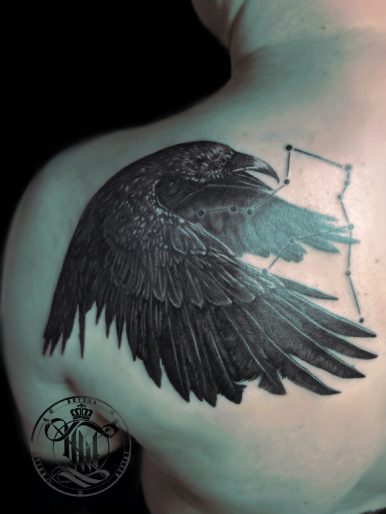 Men blackwork crow, photo - Tattoo Master Barb Tattoo