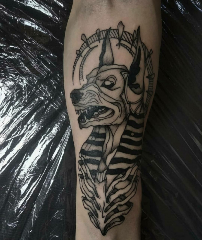 Mężczyźni czarny szary anubis, photo - Tatuażysta Barb Tattoo