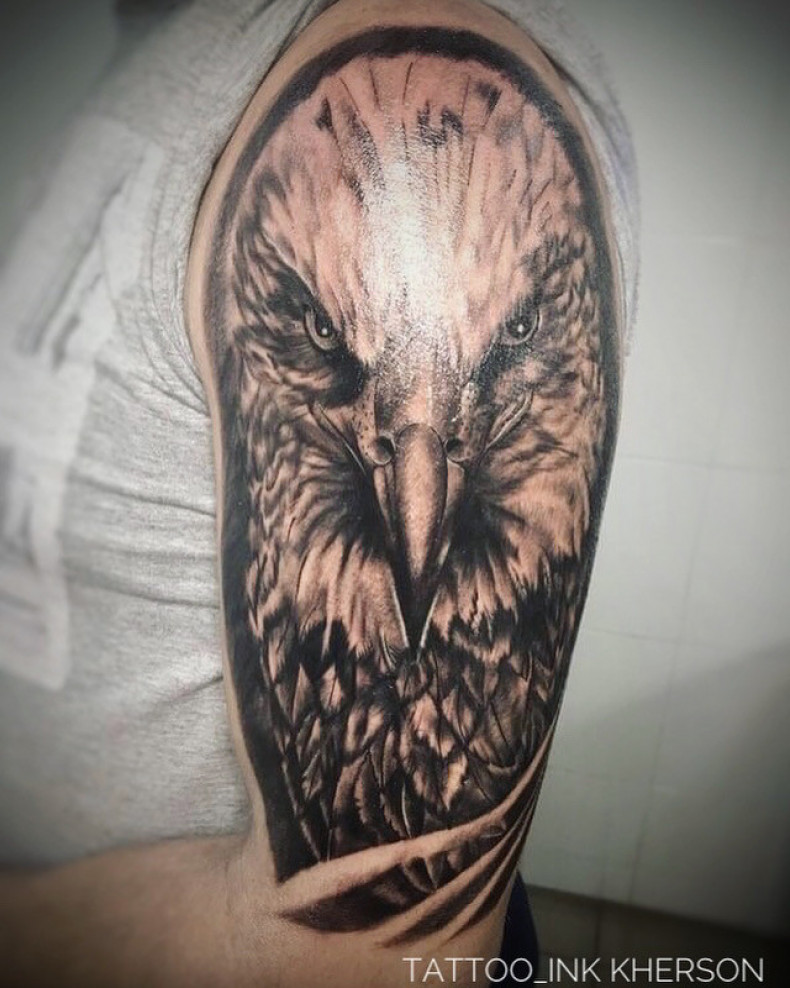 Men black and grey eagle, photo - Tattoo Master Barb Tattoo