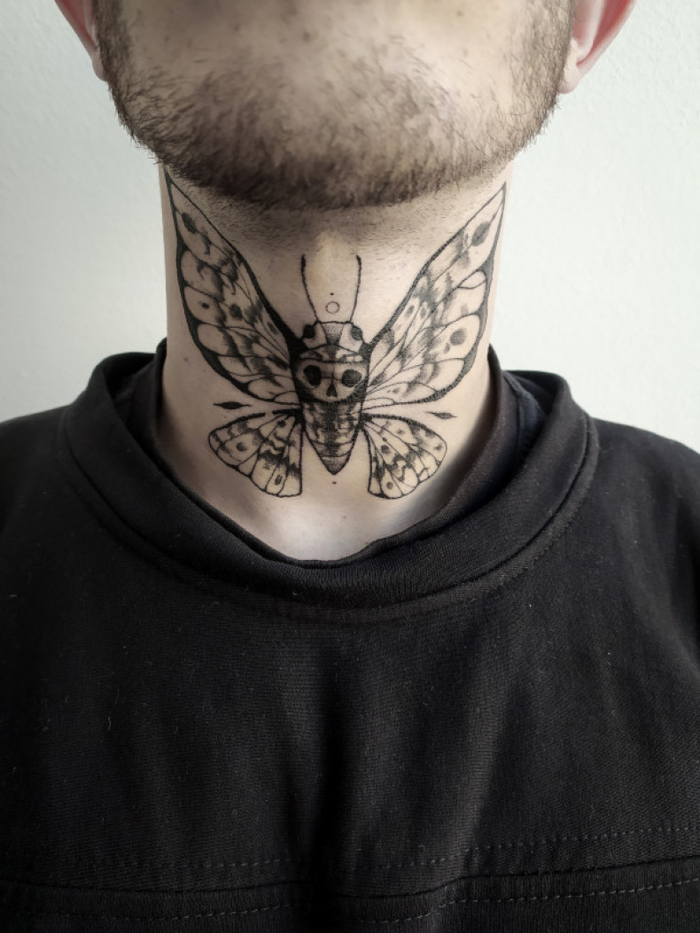 Men moth, photo - Tattoo Master Barb Tattoo