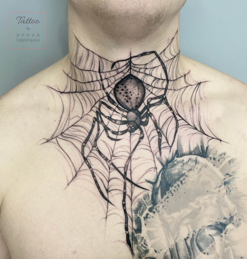 Men neck spider, photo - Tattoo Master Barb Tattoo