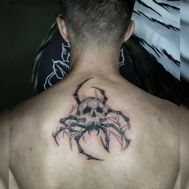 Men back spider, photo - Tattoo Master Barb Tattoo