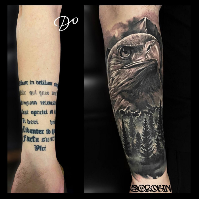 Men arm black and grey, photo - Tattoo Master Barb Tattoo