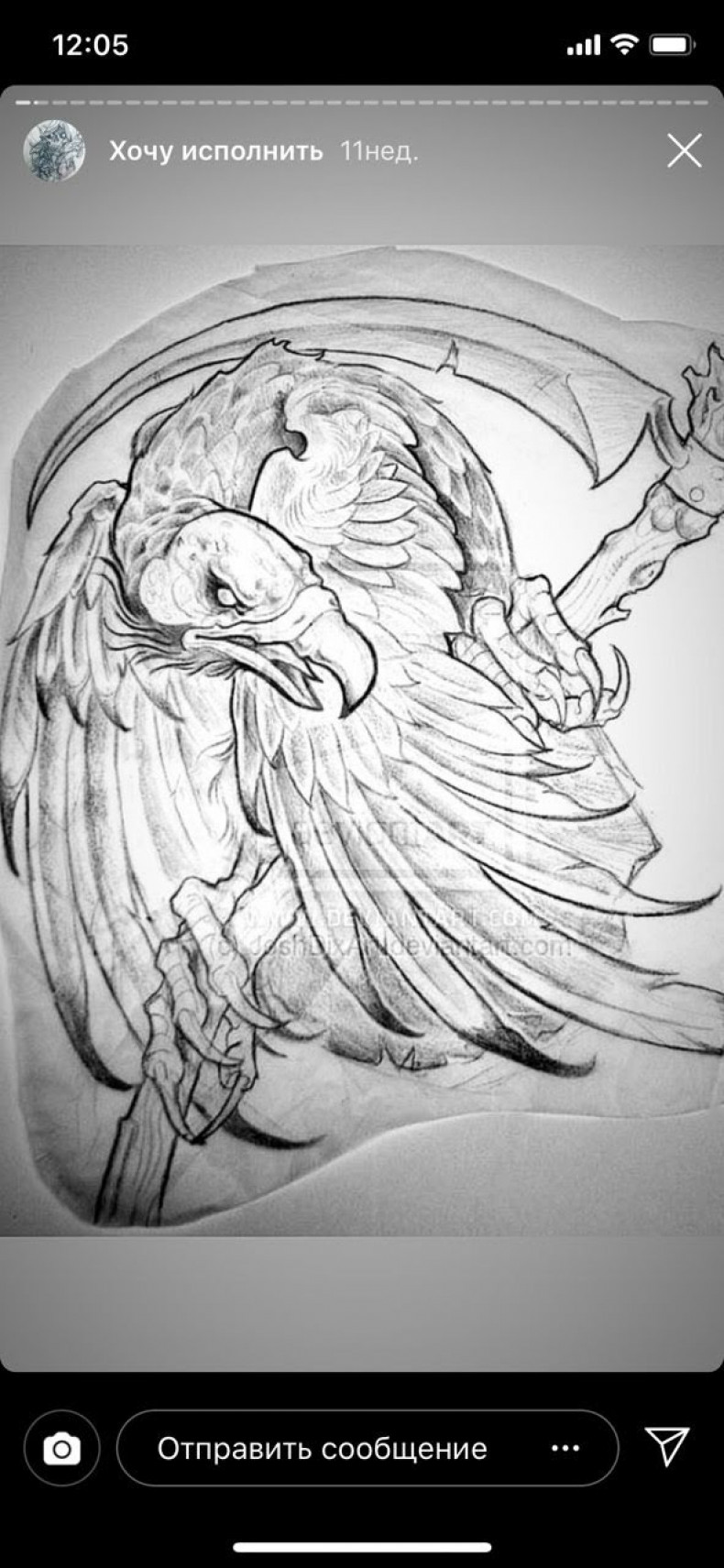 Men eagle sketch, photo - Tattoo Master Barb Tattoo