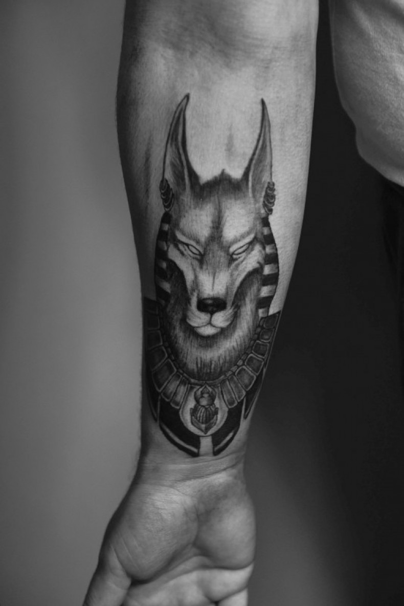 Мужские блэк энд грей анубис, photo - Тату мастер Barb Tattoo