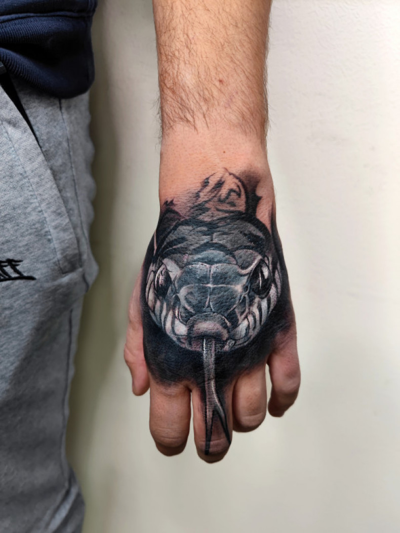 Перекрытие, photo - Тату мастер Barb Tattoo