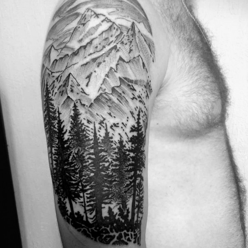 Men arm mountain, photo - Tattoo Master Barb Tattoo