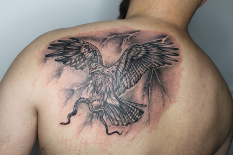 Bird, photo - Tattoo Master Barb Tattoo