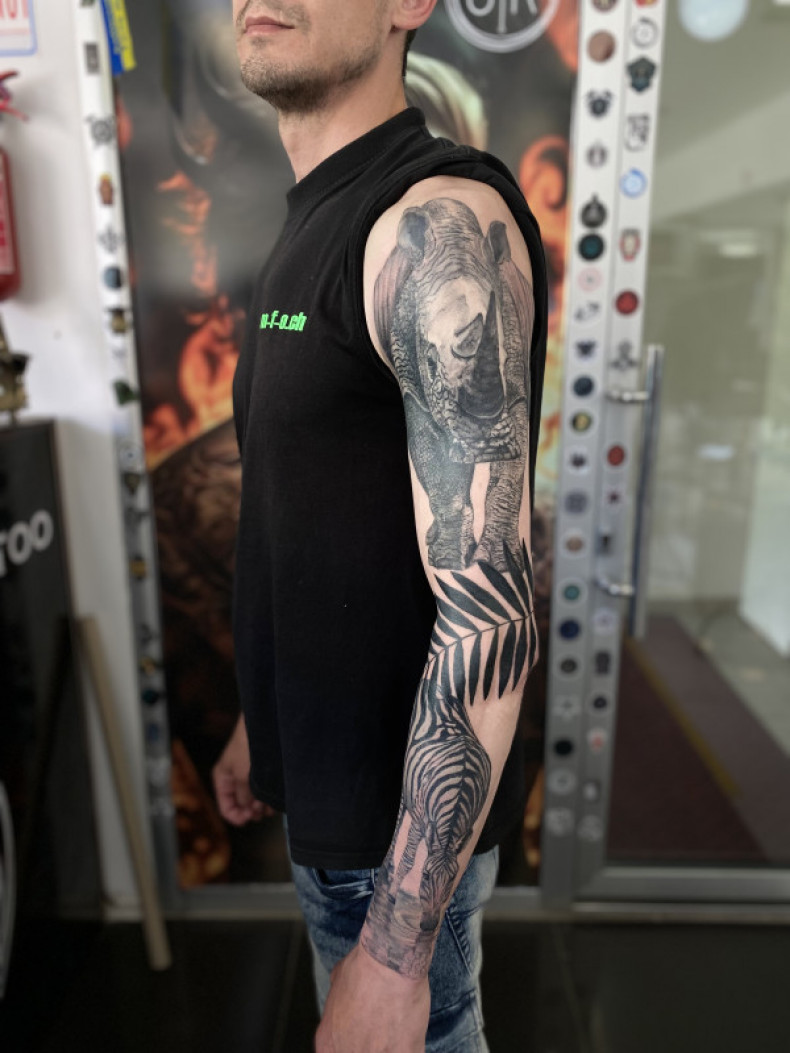 Męski zebra Fajny, photo - Tatuażysta Barb Tattoo