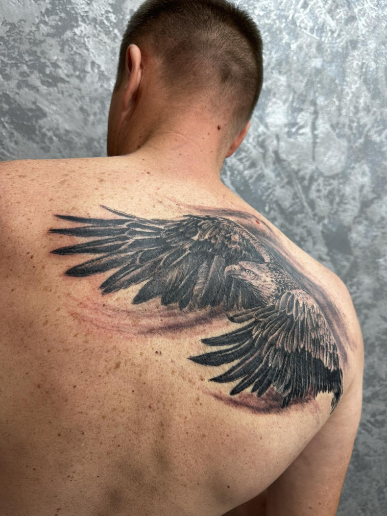 Men back eagle, photo - Tattoo Master Barb Tattoo