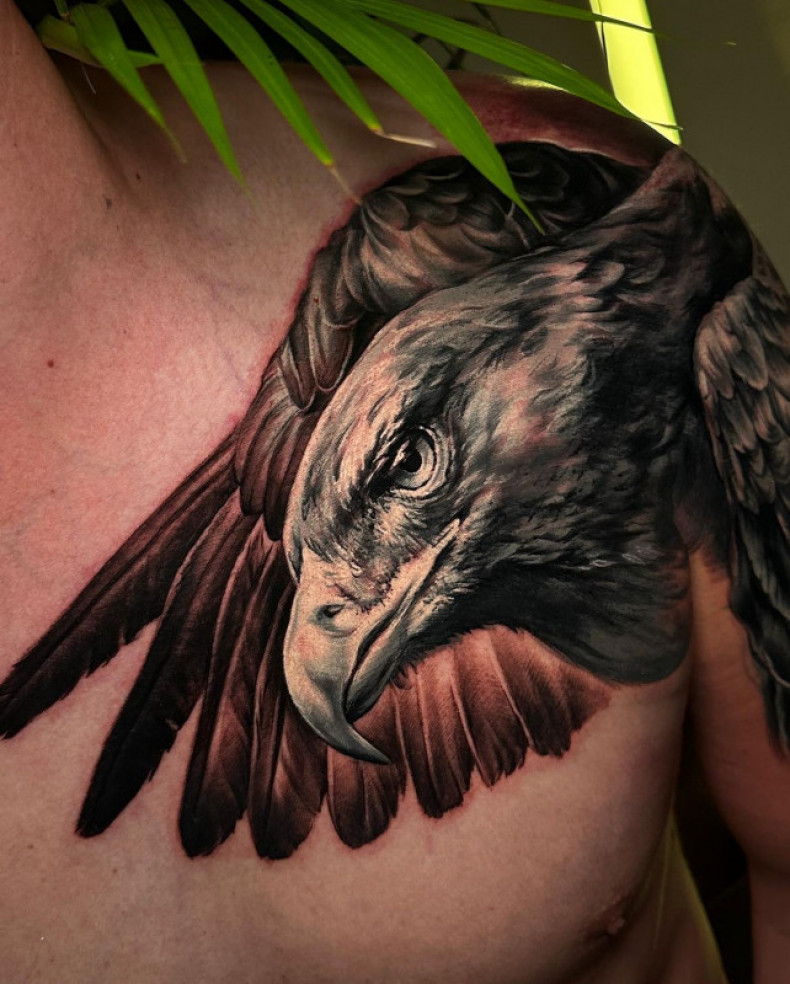 Men chest eagle, photo - Tattoo Master Barb Tattoo