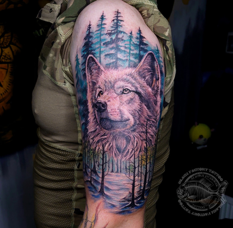 Men wolf arm, photo - Tattoo Master Barb Tattoo