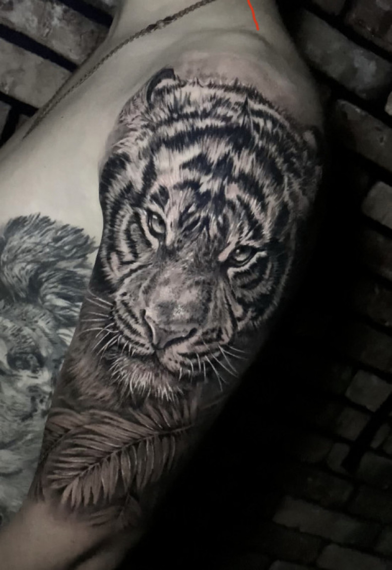 Мужские на плече тигр, photo - Тату мастер Barb Tattoo