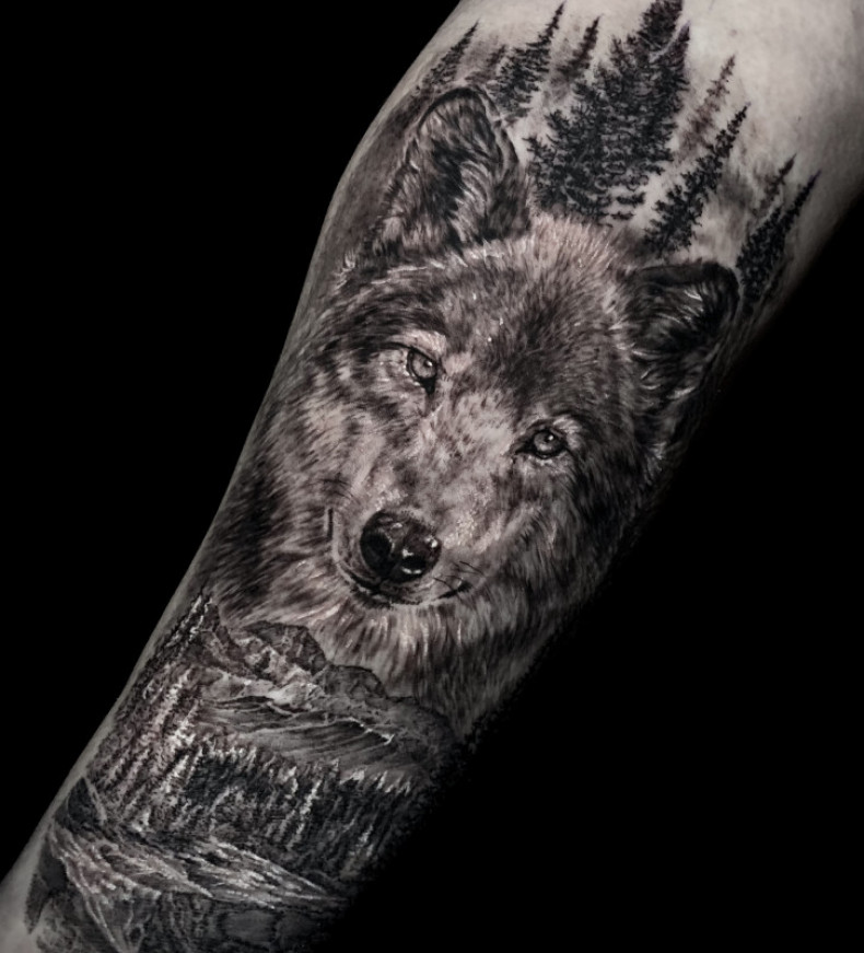 Männer Wolf Arm, photo - Tattoo-Meister Barb Tattoo