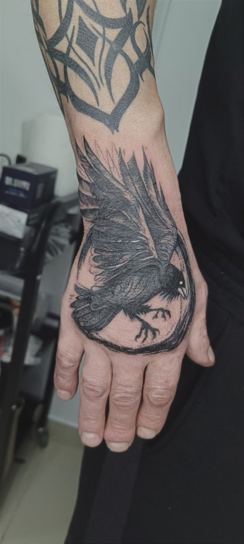 Men arm crow, photo - Tattoo Master Barb Tattoo