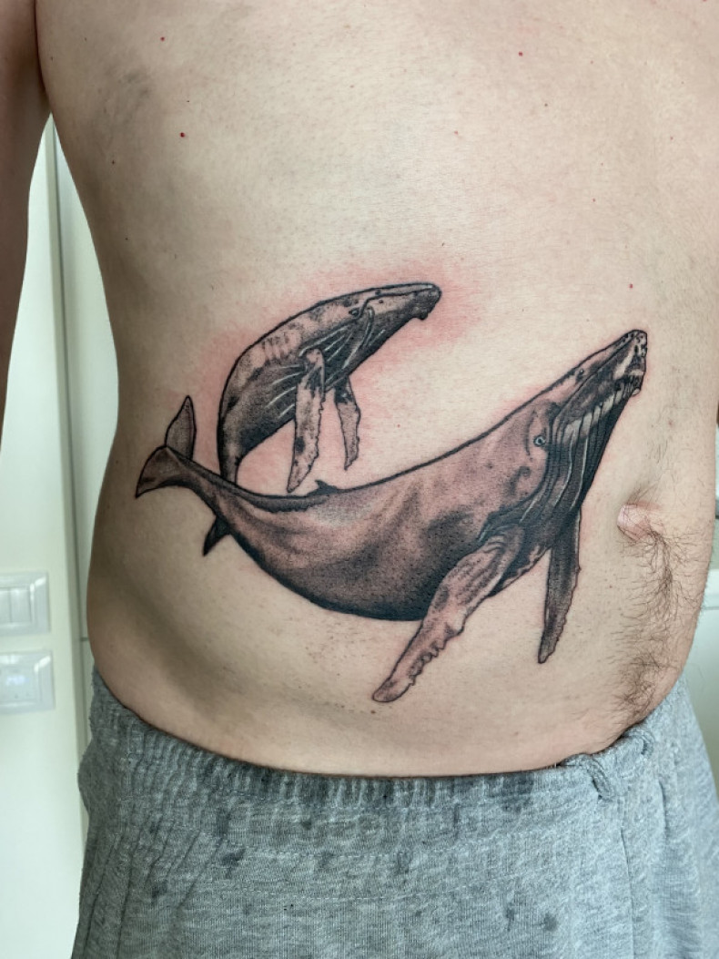 Männer wal am bauch, photo - Tattoo-Meister Barb Tattoo