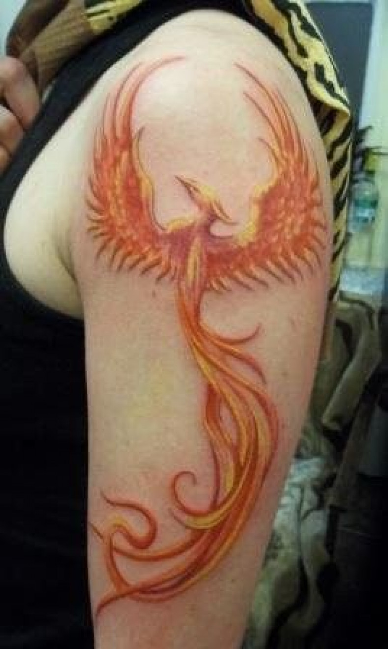 Frauen Arm Feuervogel, photo - Tattoo-Meister Barb Tattoo