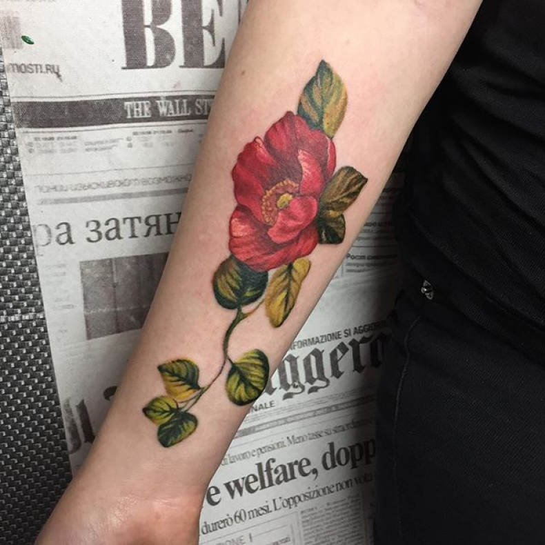 Damski przedramię realizm, photo - Tatuażysta Barb Tattoo