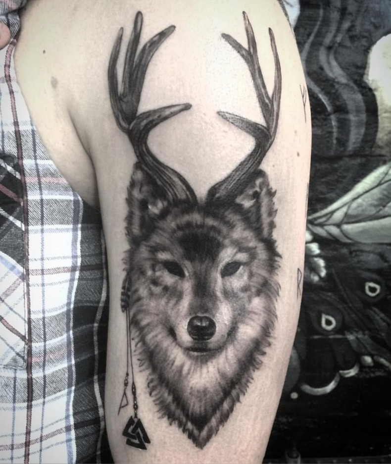 Frauen wolf whip shading, photo - Tattoo-Meister Barb Tattoo