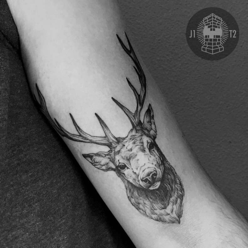 Damski na ramieniu whip shading, photo - Tatuażysta Barb Tattoo