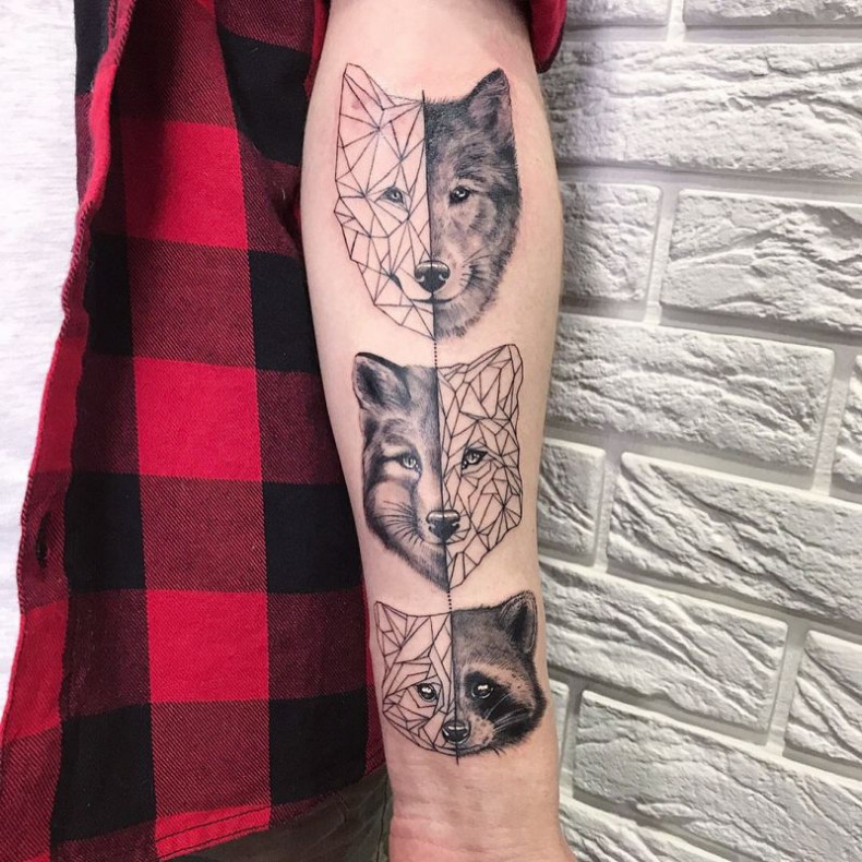 Женские волк на руке, photo - Тату мастер Barb Tattoo