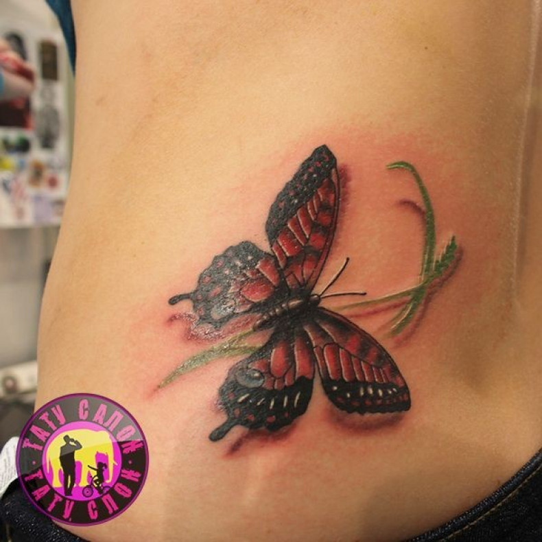 Women butterfly lower back, photo - Tattoo Master Barb Tattoo