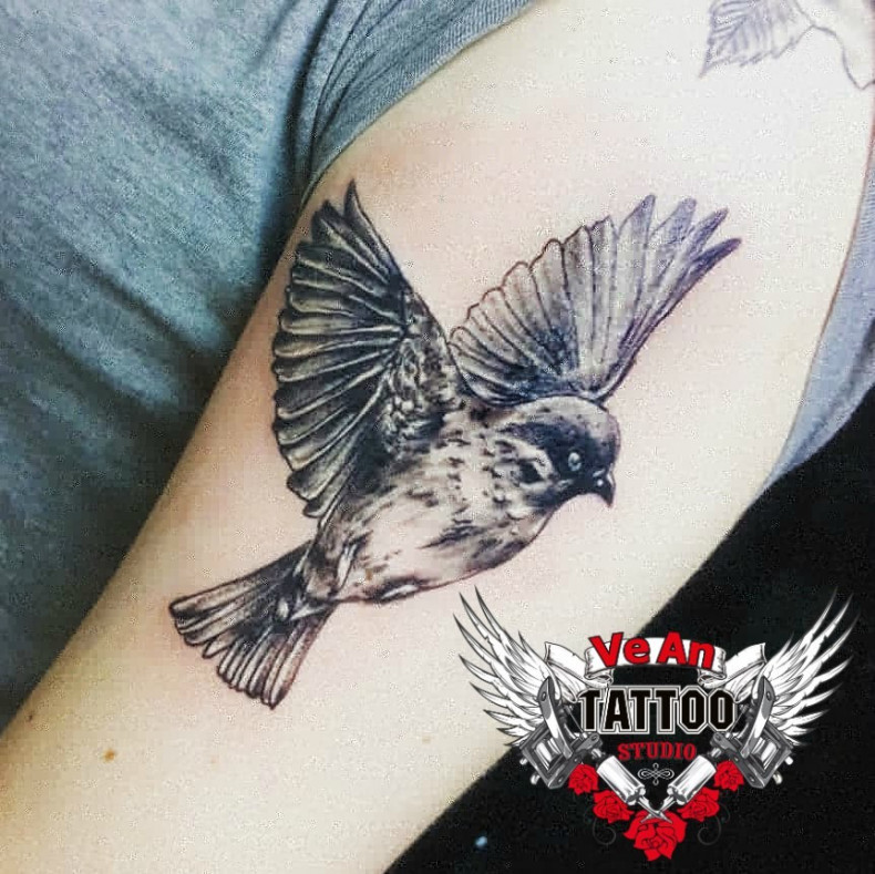 Damski czarny szary wróbel, photo - Tatuażysta Barb Tattoo