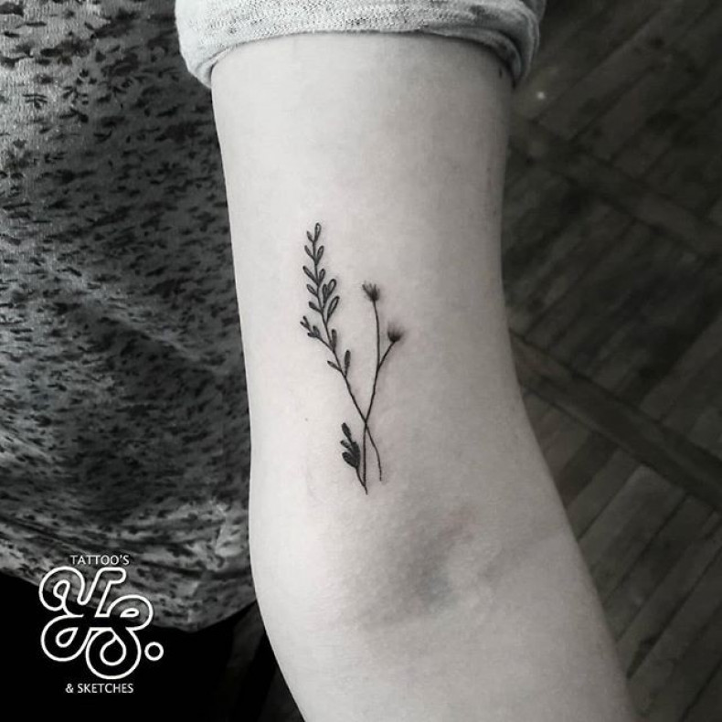 Damski na ramieniu gałąz, photo - Tatuażysta Barb Tattoo