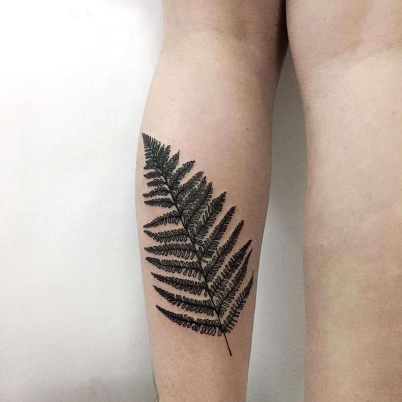 Женские ветка на голени, photo - Тату мастер Barb Tattoo