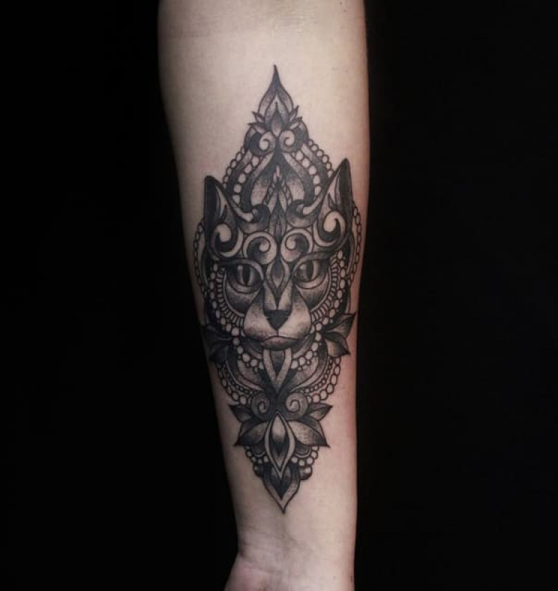 Women cat forearm, photo - Tattoo Master Barb Tattoo