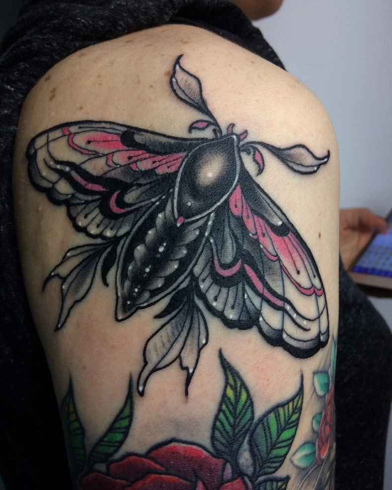 Women beetle shoulder, photo - Tattoo Master Barb Tattoo