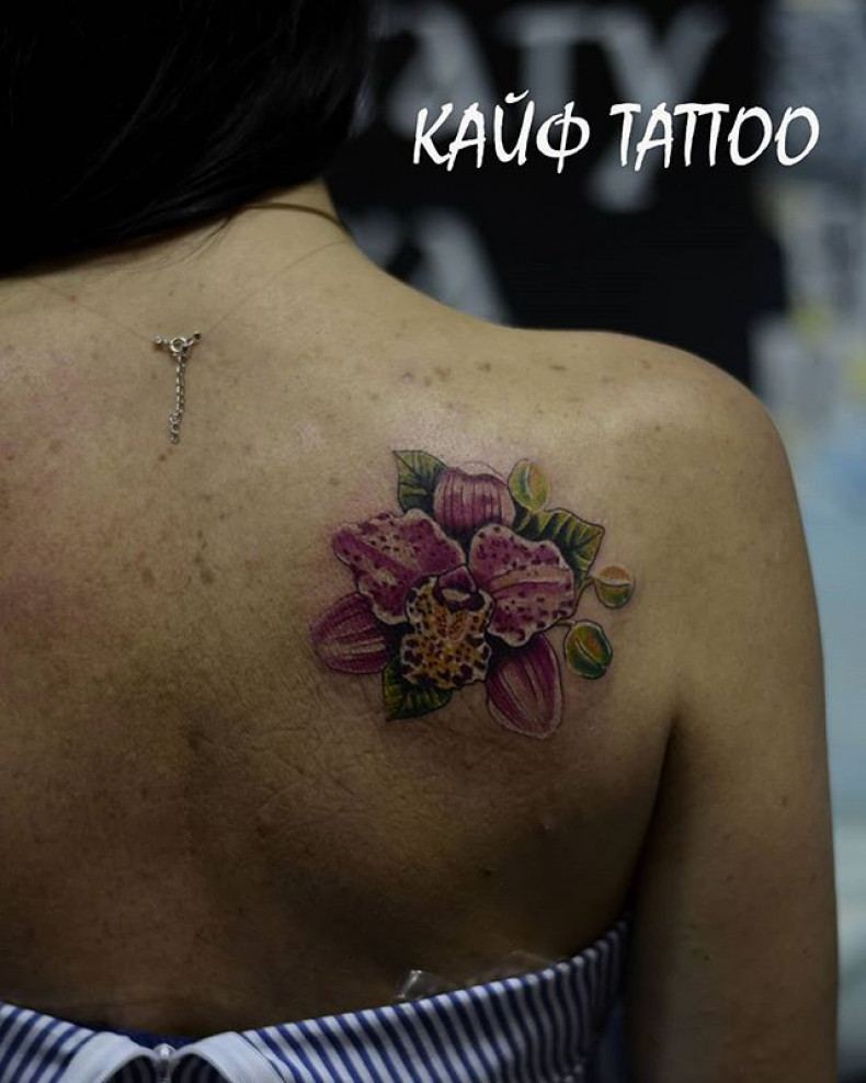 Frauen rücken orchidee, photo - Tattoo-Meister Barb Tattoo