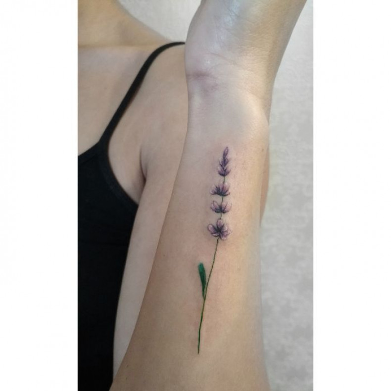 Women watercolor lavender, photo - Tattoo Master Barb Tattoo