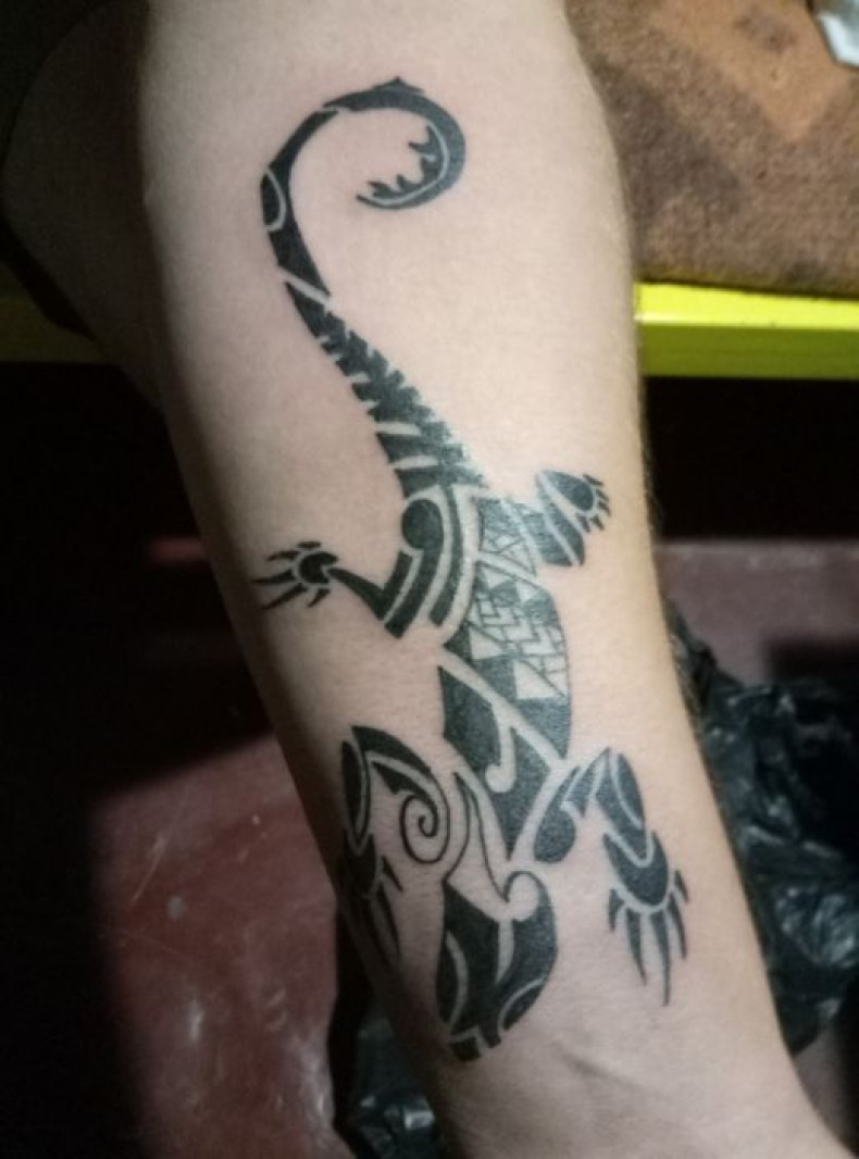 Women arm gecko, photo - Tattoo Master Barb Tattoo