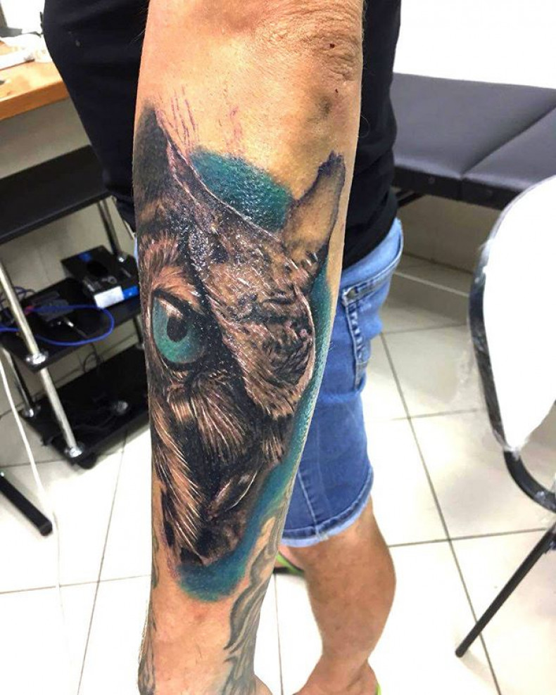 Damski przedramię realizm, photo - Tatuażysta Barb Tattoo
