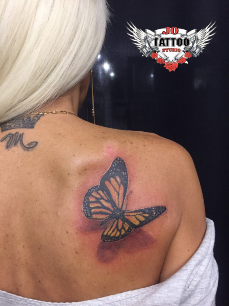 Damski 3d motyl, photo - Tatuażysta Barb Tattoo