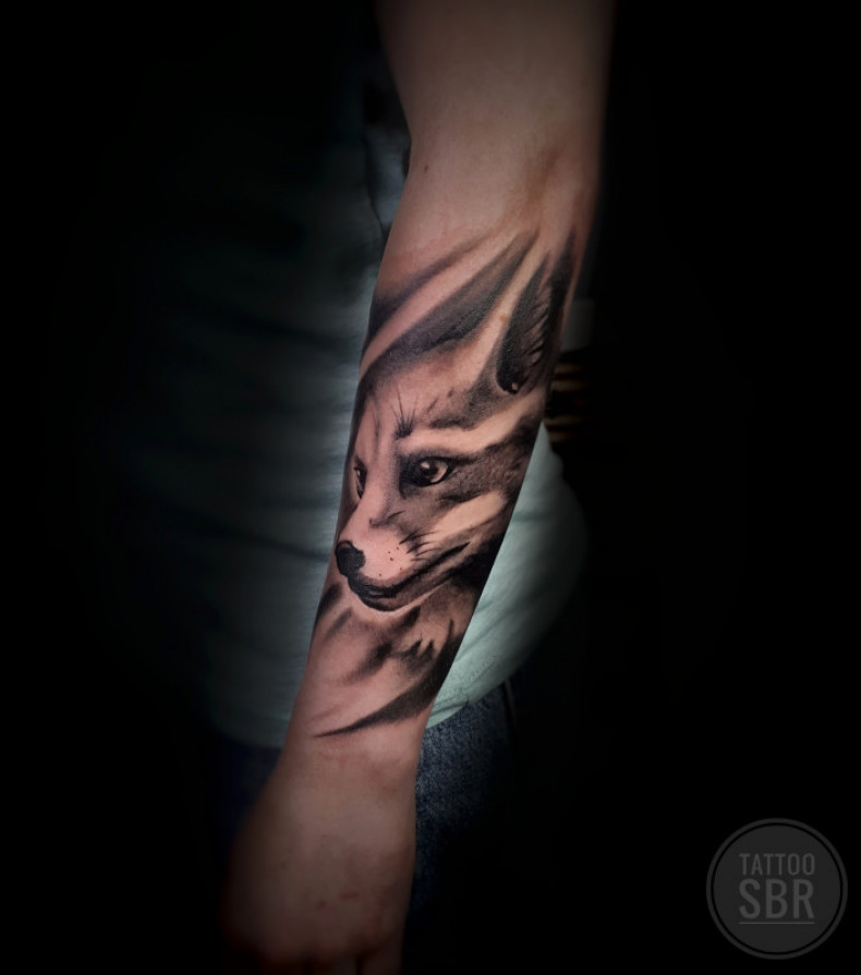 Damski czarny szary lis, photo - Tatuażysta Barb Tattoo