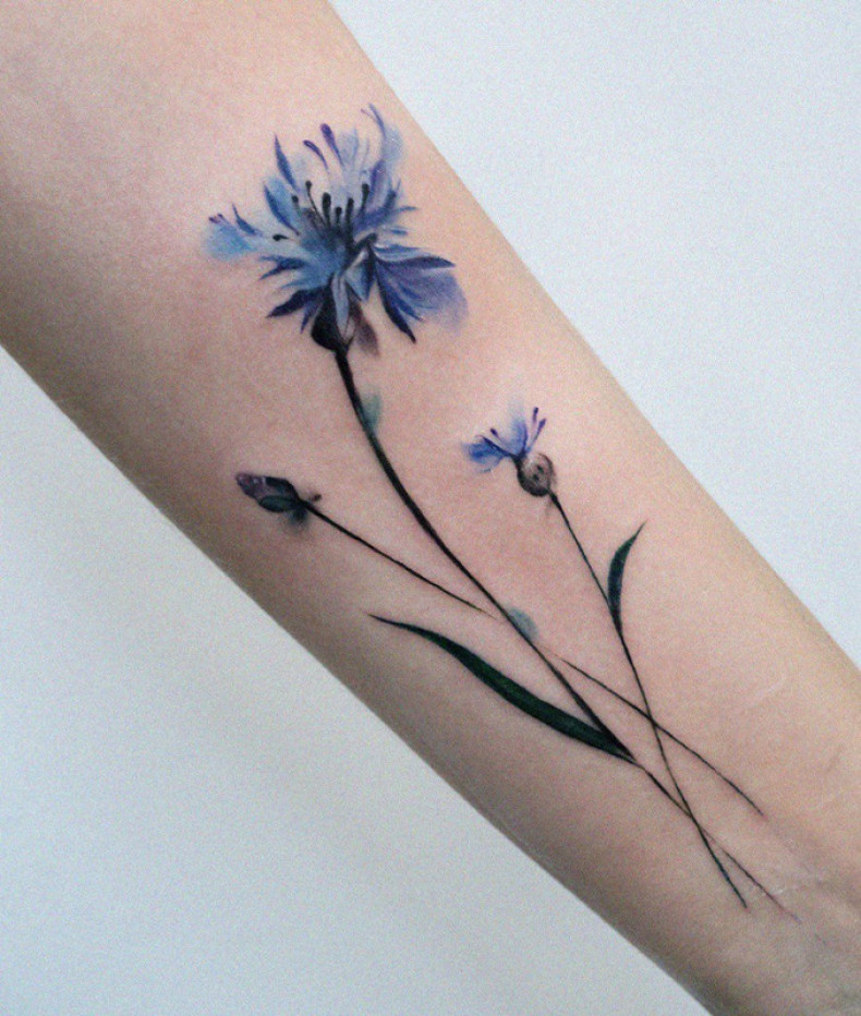 Women watercolor cornflower, photo - Tattoo Master Barb Tattoo